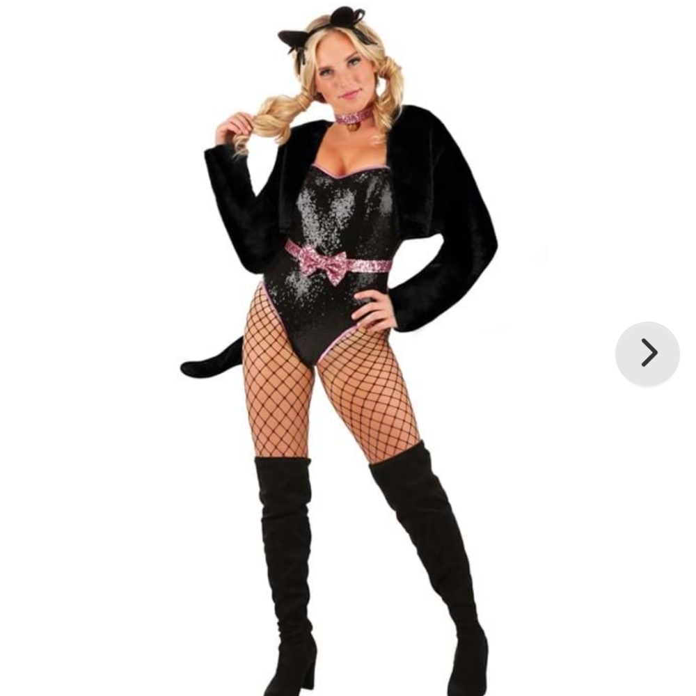 New Ritzy Kitty Halloween Costume